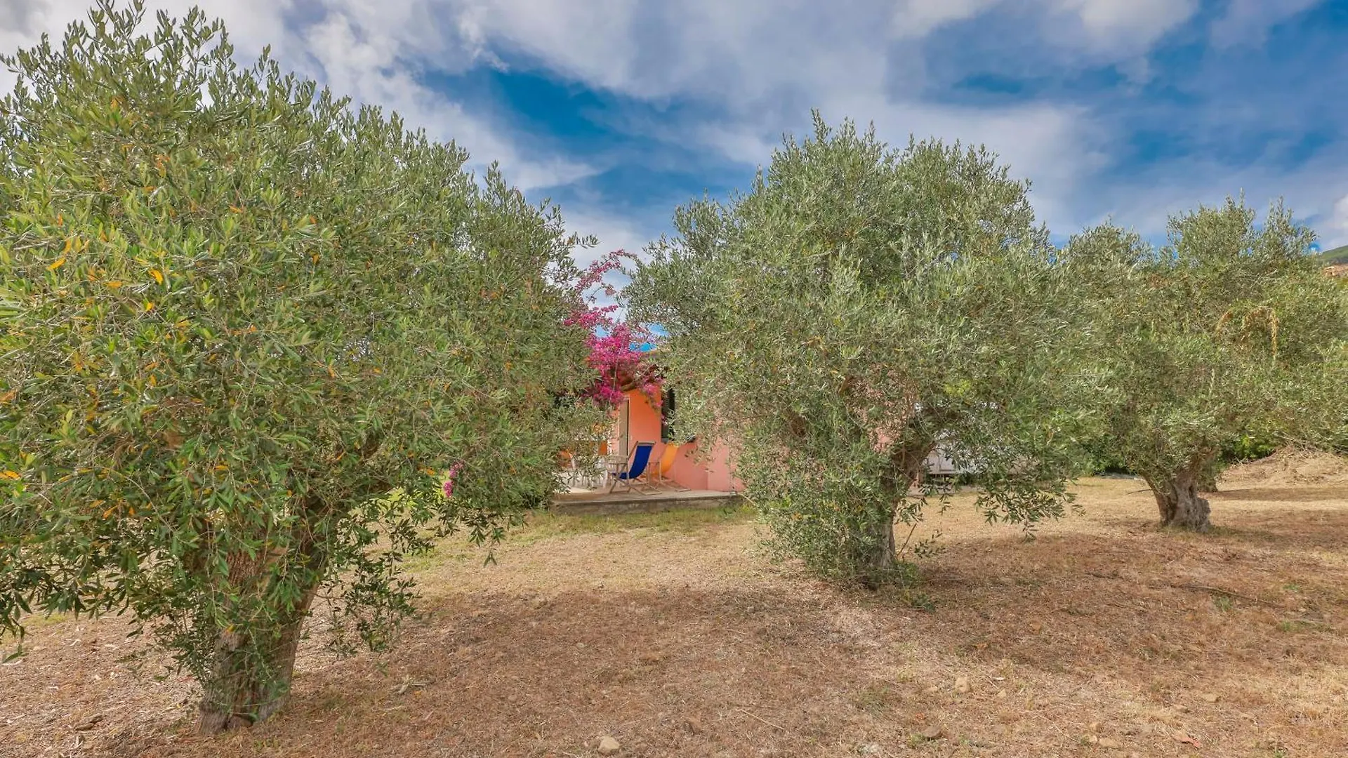 Villa Villino Lampone - Goelba Lacona Italia