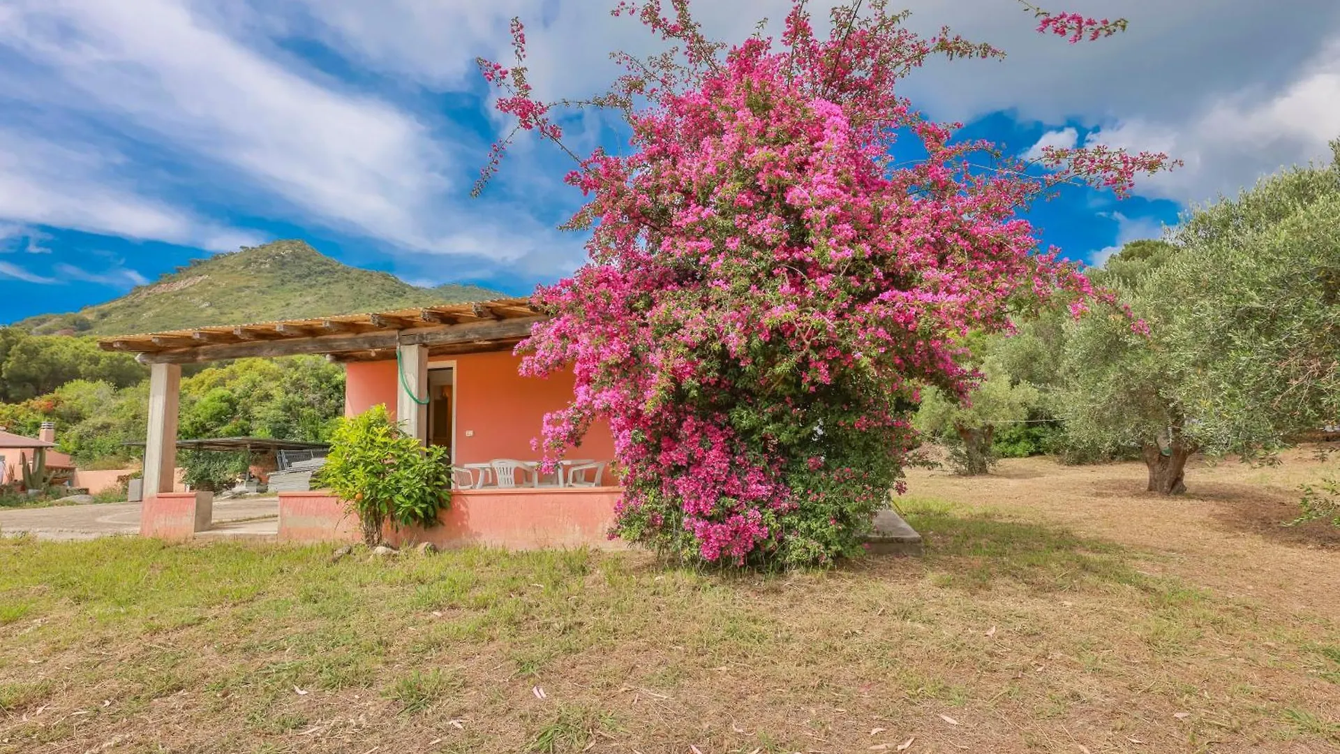 Villino Lampone - Goelba Villa Lacona